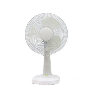 Fan caliente de la tabla de la fan del escritorio de la fan eléctrica de la fuente de la fábrica de la venta de 12 pulgadas con el contador de tiempo
