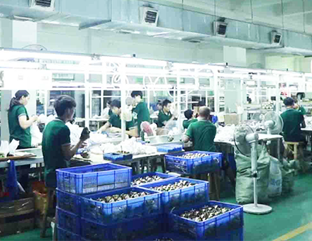 Montaje de productos terminados